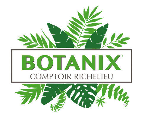 Logo-regulier-feuille-clair