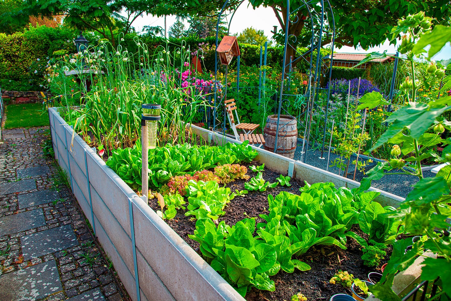potager-en-bac