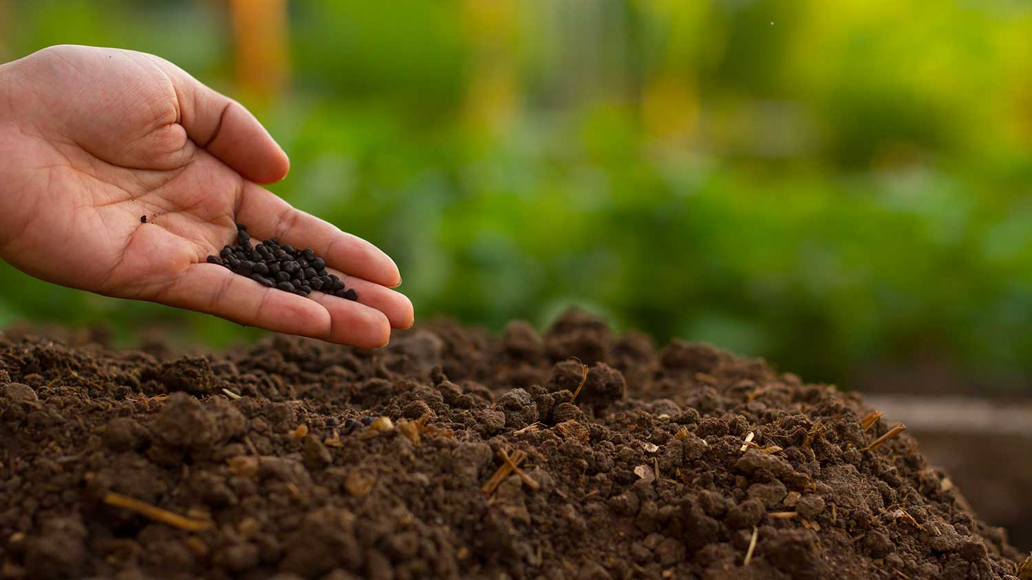 preparer-le-sol-de-son-potager