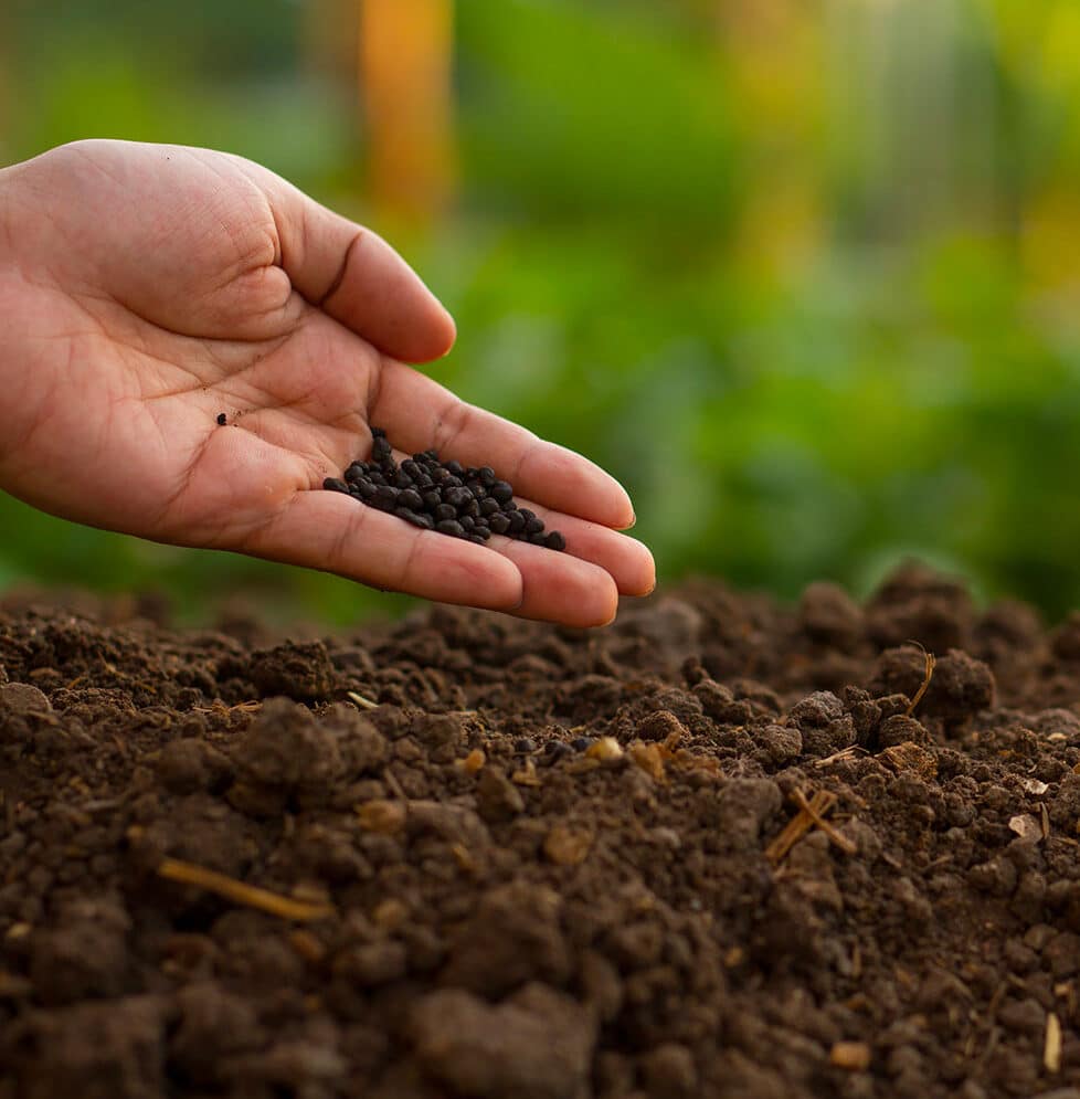 Préparer-le-sol-de-son-potager