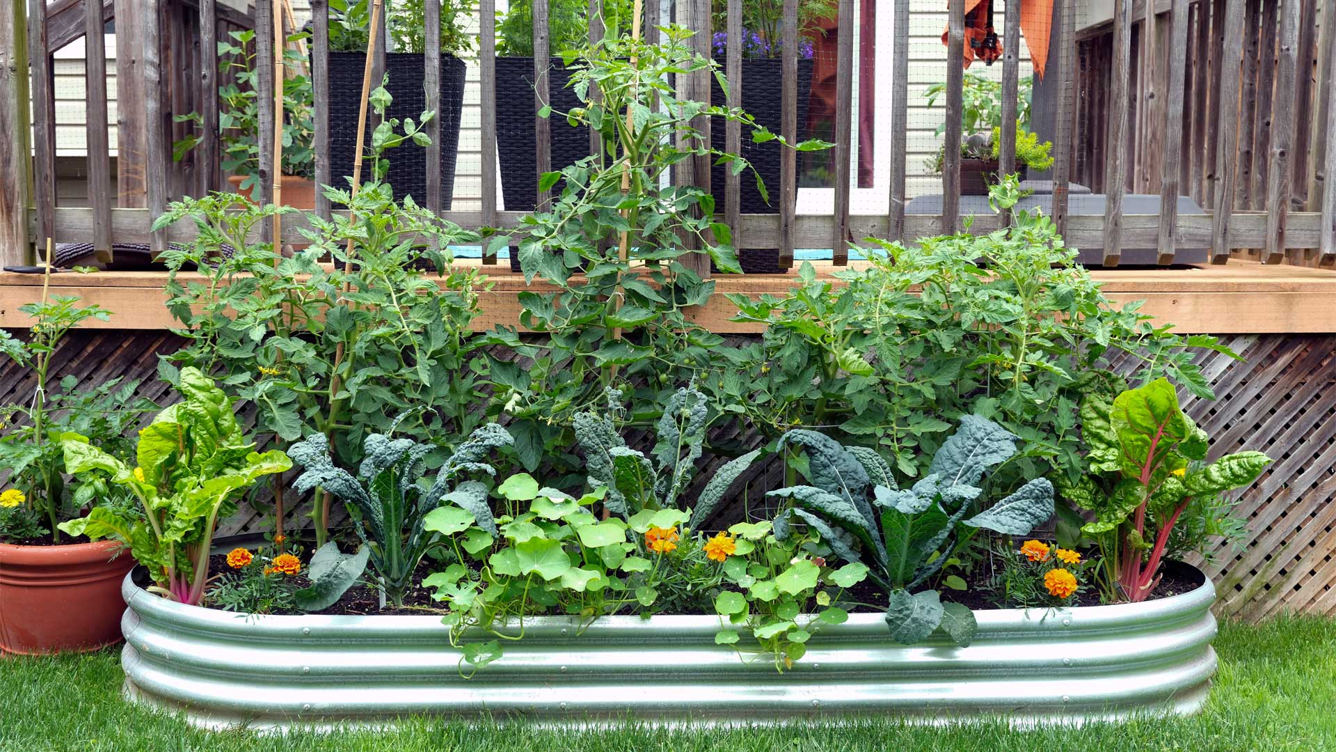 quand-semer-ou-planter-au-potager-le-guide-pratique-pour-bien-planifier