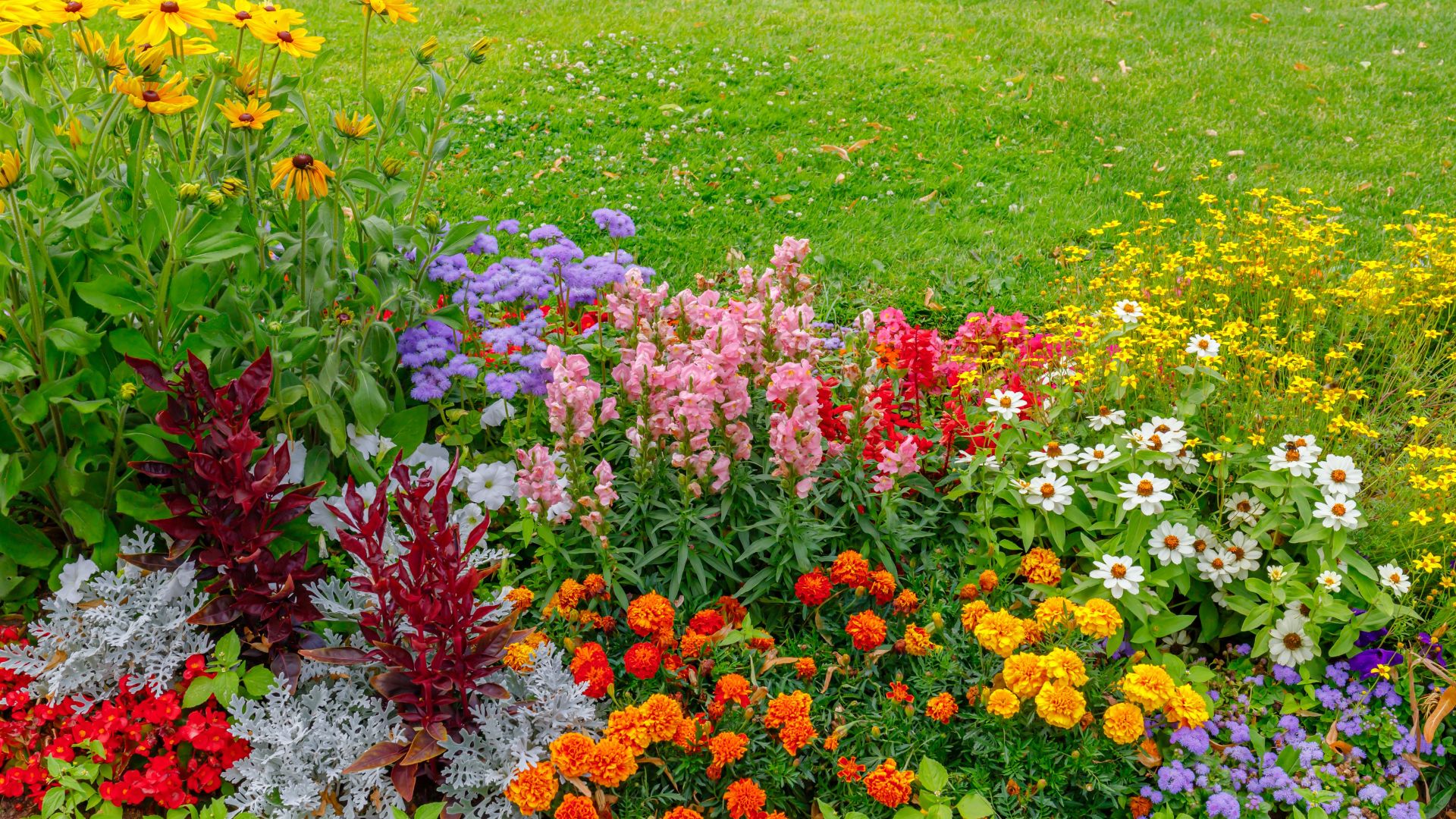 classique-jardin-eclatant