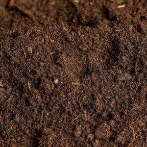 compost