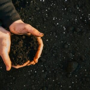 terre