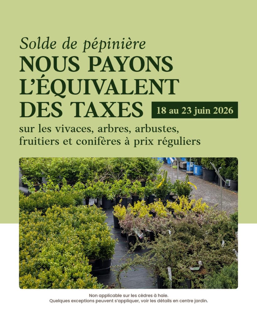 nous-payons-les-taxes