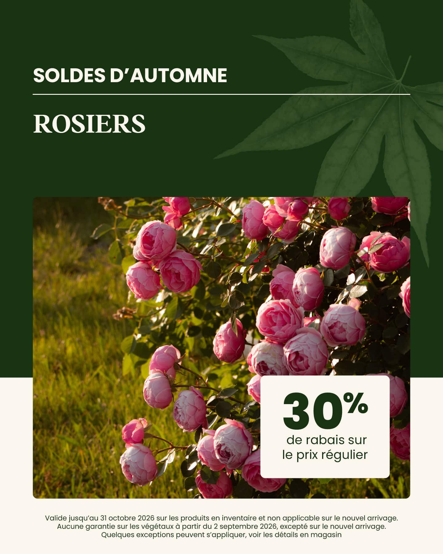soldes-automne-rosiers