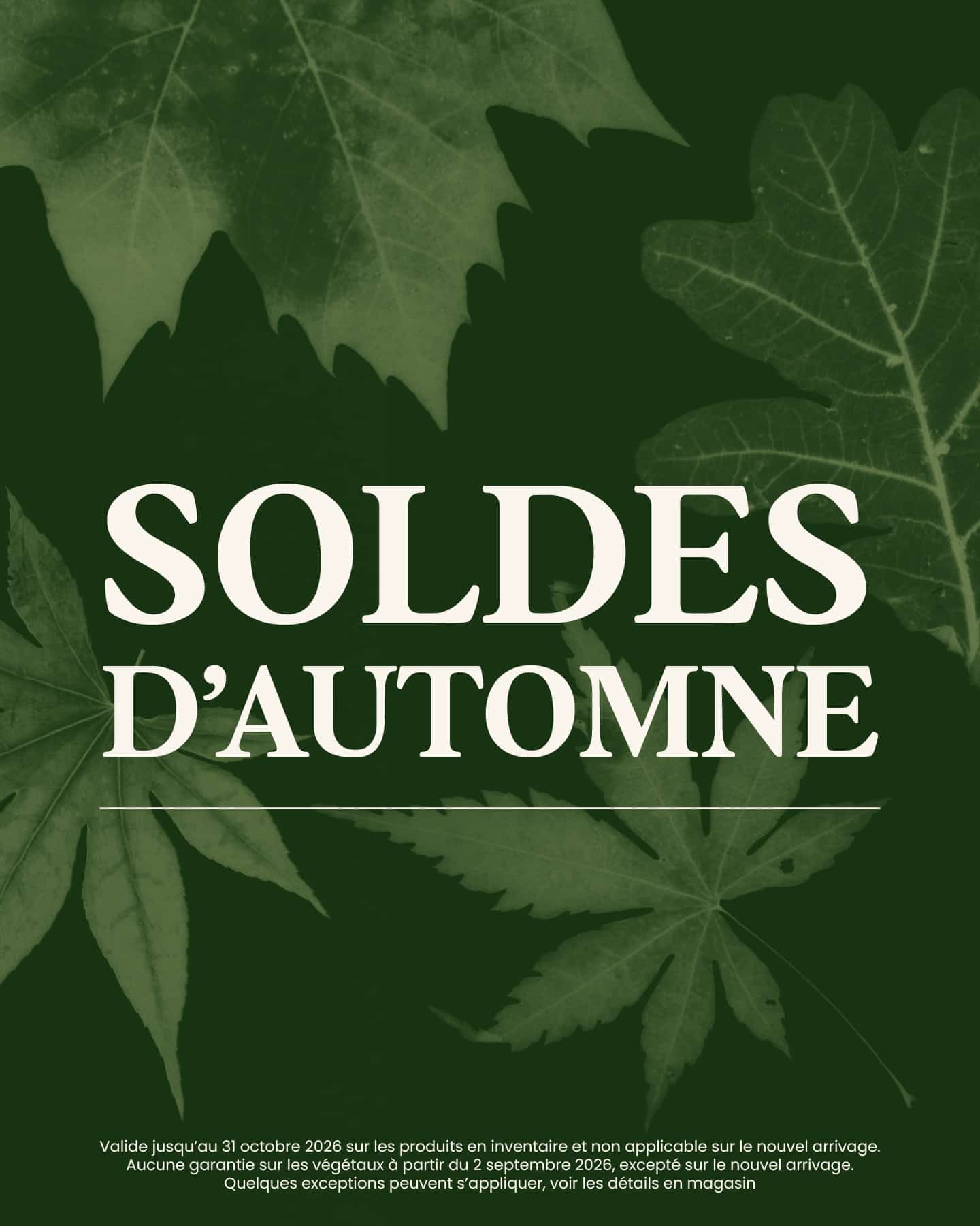 soldes-automne